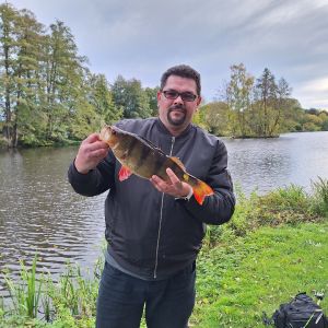 Profilbild