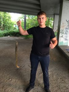 Profilbild
