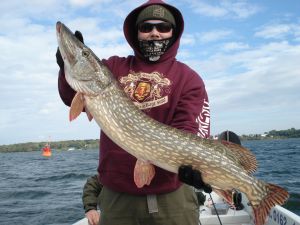 Evergreen_Black_Briar