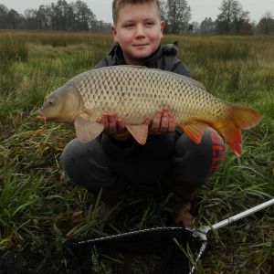 Profilbild