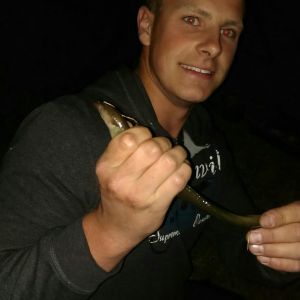 Profilbild