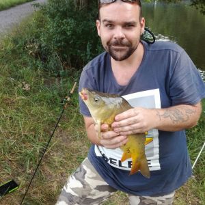 Profilbild
