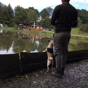 Profilbild