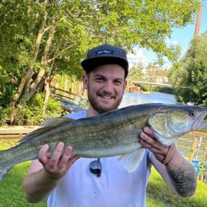 Profilbild