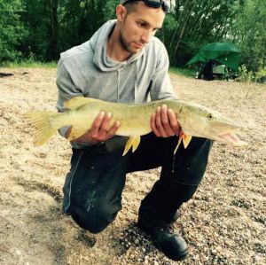 Profilbild