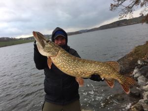 Mr. Esox
