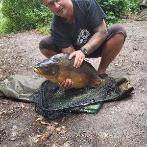 Schwiegermutters Traum