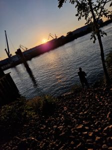 Profilbild