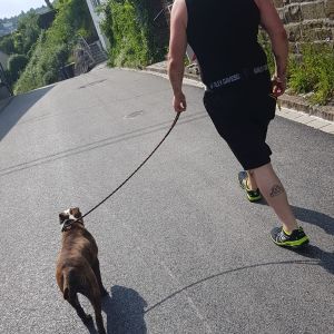Profilbild