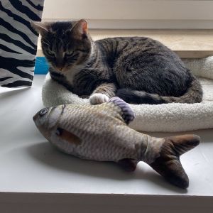 Profilbild
