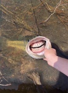 Profilbild