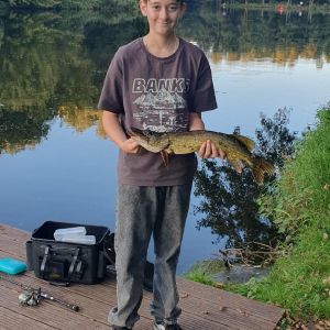 Profilbild