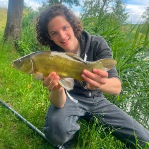 Profilbild
