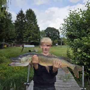 Profilbild