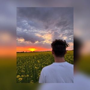Profilbild