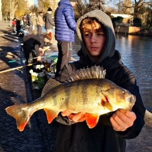 Profilbild