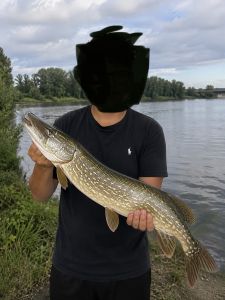Profilbild