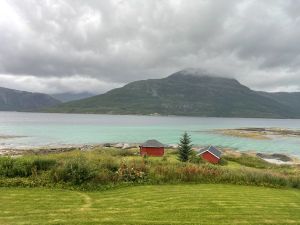 Arne 1