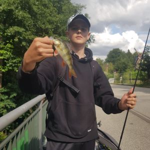 Profilbild