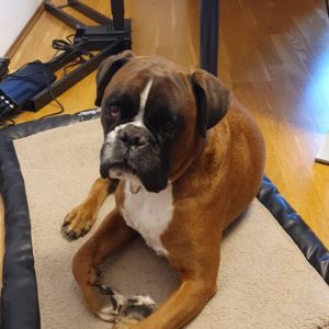 Profilbild