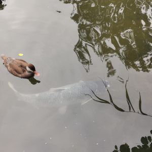 Profilbild