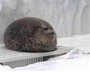 Profilbild