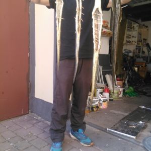 Profilbild