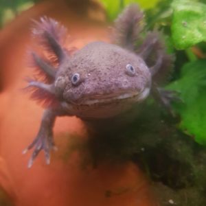 Profilbild