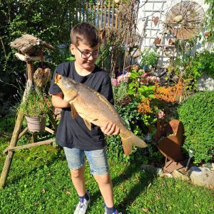 Profilbild