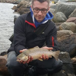 Profilbild