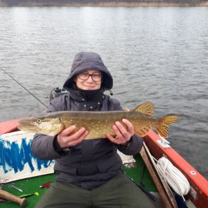 Friedfischstipper