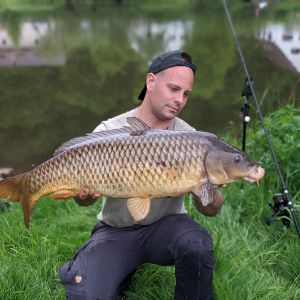 Bcarp