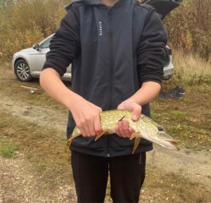 Profilbild