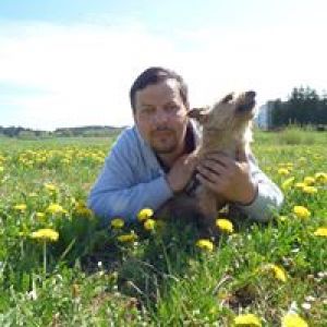 Profilbild