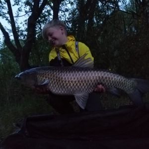 Profilbild