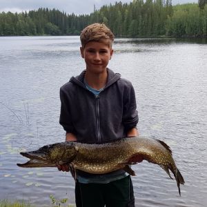 Profilbild