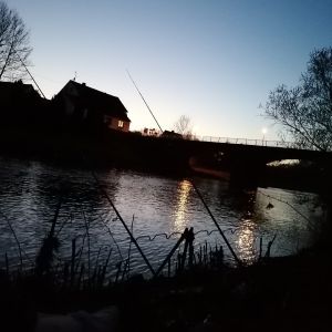 Profilbild