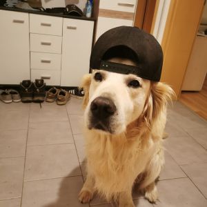 Profilbild