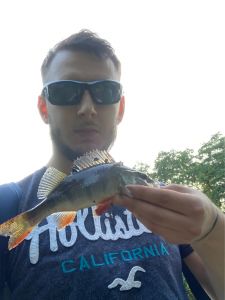 Profilbild