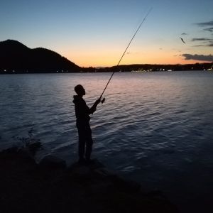 Profilbild