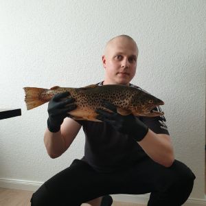 Profilbild