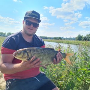 Profilbild