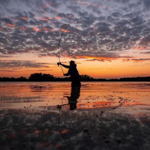 _x.carphunter_germany.x_