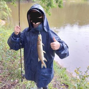 Profilbild