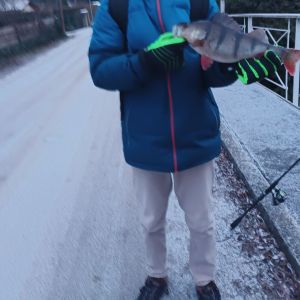 FishingforfriendsAA