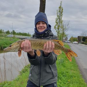Profilbild