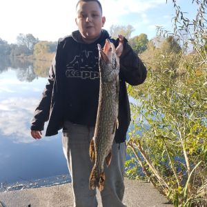 Profilbild