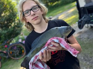 Profilbild