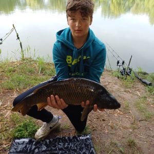 Profilbild