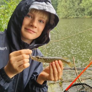 Profilbild